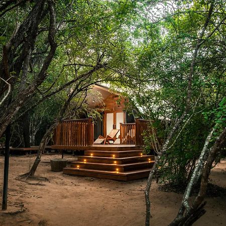 Leopard Reach Yala By Seven Angels Hotel Tissamaharama Ngoại thất bức ảnh