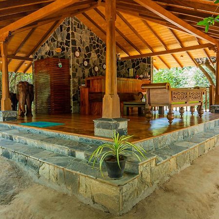 Leopard Reach Yala By Seven Angels Hotel Tissamaharama Ngoại thất bức ảnh