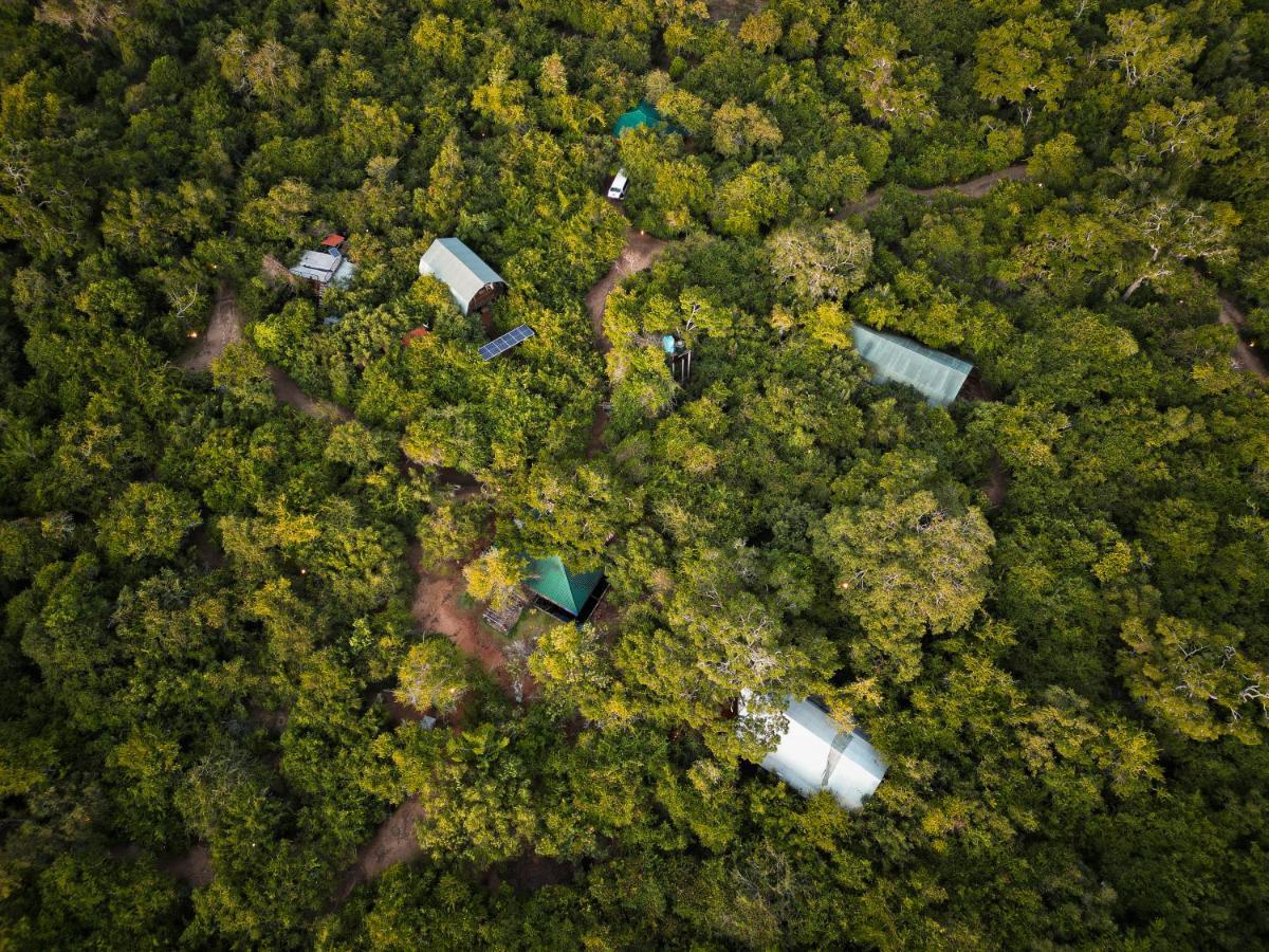 Leopard Reach Yala By Seven Angels Hotel Tissamaharama Ngoại thất bức ảnh
