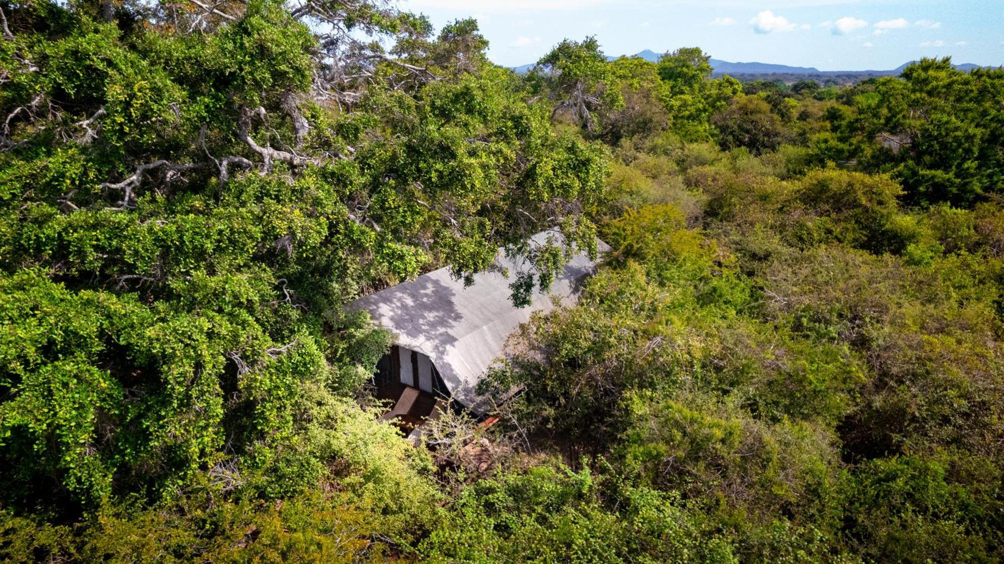 Leopard Reach Yala By Seven Angels Hotel Tissamaharama Ngoại thất bức ảnh